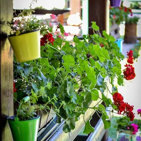 Homes Biser Lopatnice Lopatnica